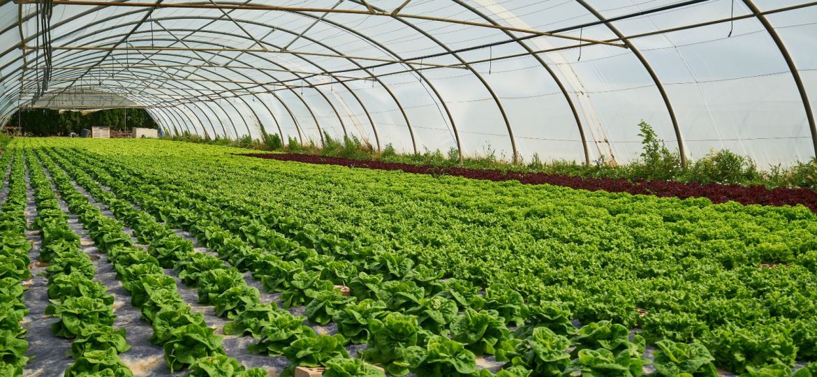 destratificazione serre