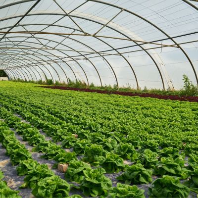 destratificazione serre