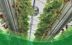 come valorizzare il risparmio energetico