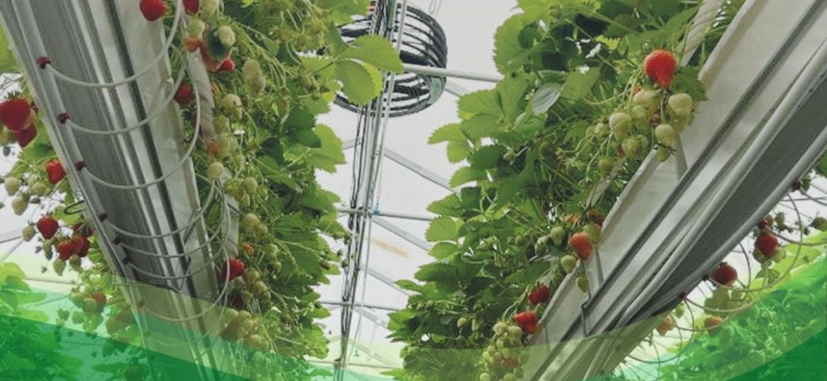 come valorizzare il risparmio energetico