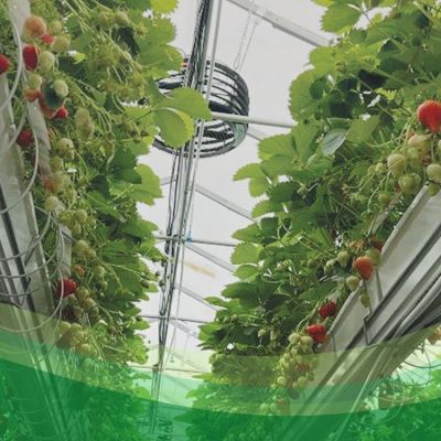 come valorizzare il risparmio energetico