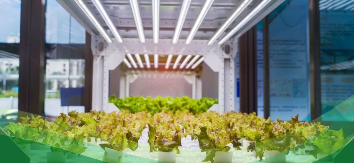 crescita sostenibili serre